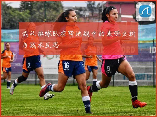 武汉排球队在阵地战中的表现分析与战术反思