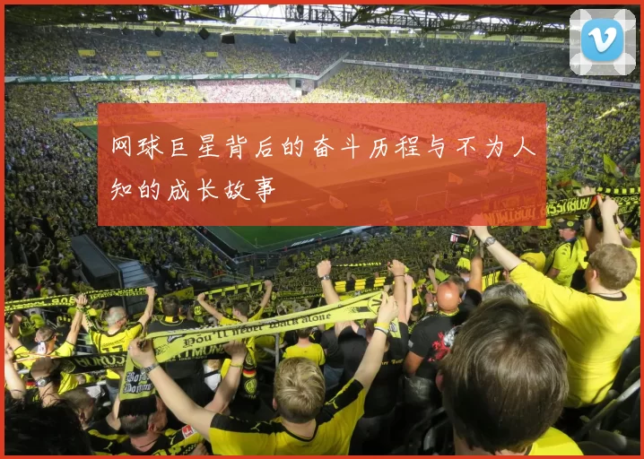 网球巨星背后的奋斗历程与不为人知的成长故事