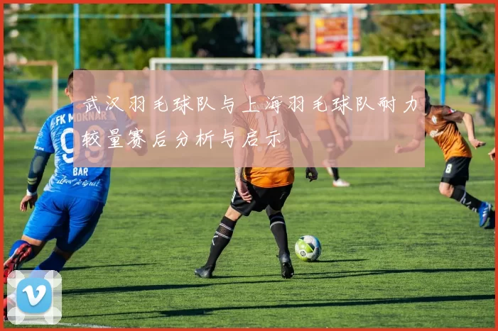 武汉羽毛球队与上海羽毛球队耐力较量赛后分析与启示