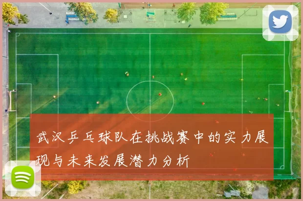 武汉乒乓球队在挑战赛中的实力展现与未来发展潜力分析