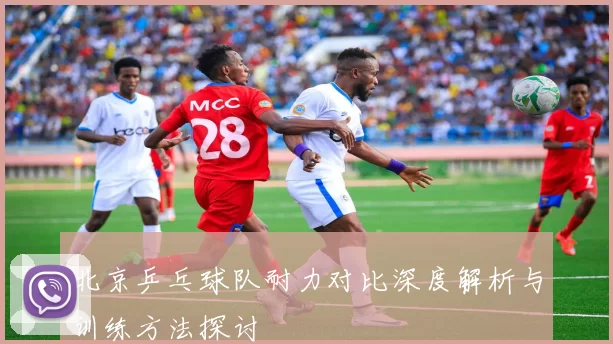 北京乒乓球队耐力对比深度解析与训练方法探讨