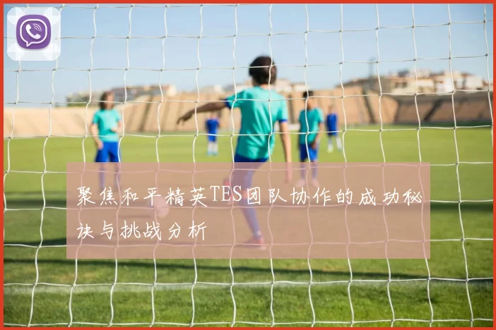 聚焦和平精英TES团队协作的成功秘诀与挑战分析