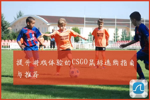 提升游戏体验的CSGO鼠标选购指南与推荐