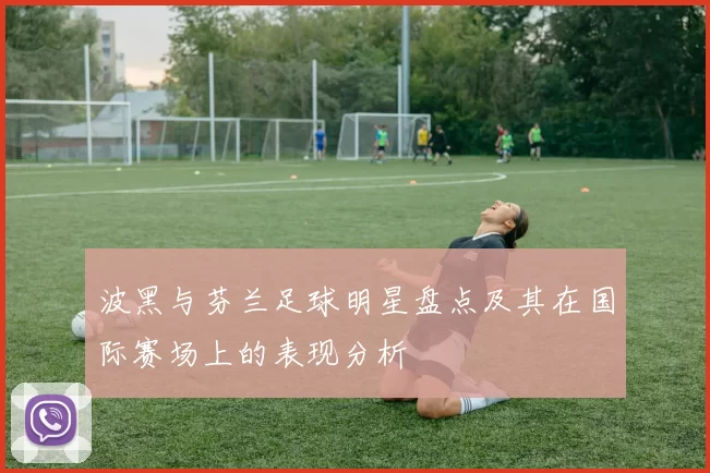 波黑与芬兰足球明星盘点及其在国际赛场上的表现分析