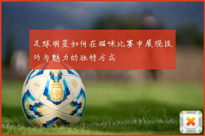 足球明星如何在猫咪比赛中展现技巧与魅力的独特方式