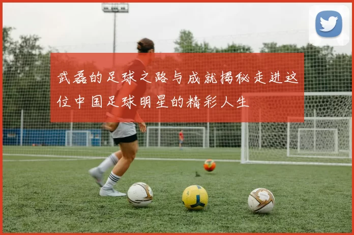 武磊的足球之路与成就揭秘走进这位中国足球明星的精彩人生