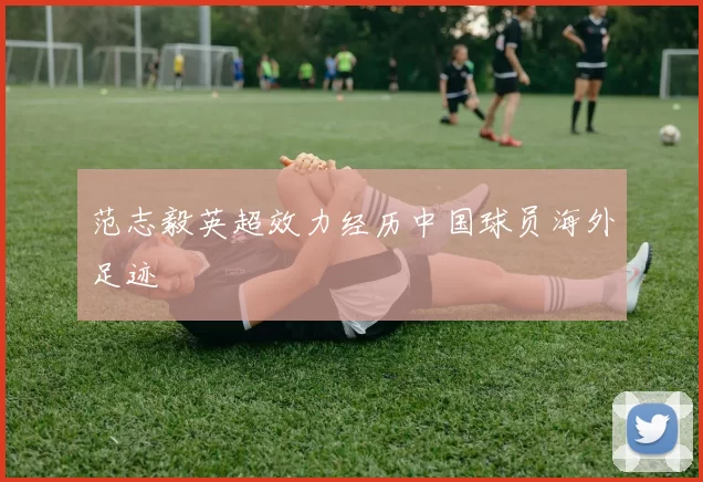 范志毅英超效力经历中国球员海外足迹