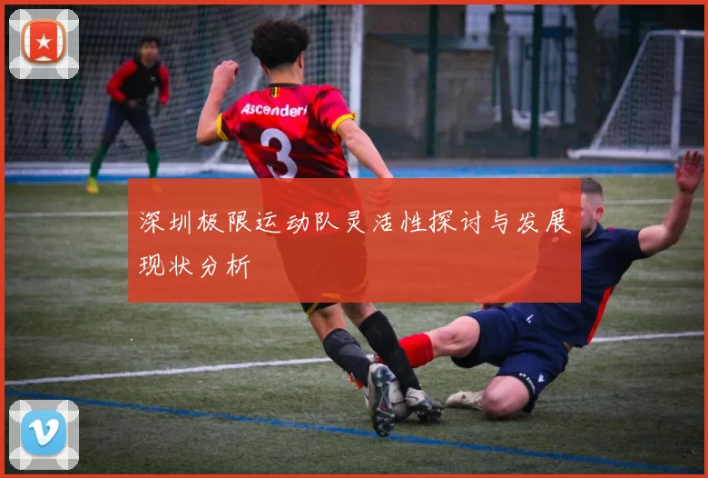 深圳极限运动队灵活性探讨与发展现状分析