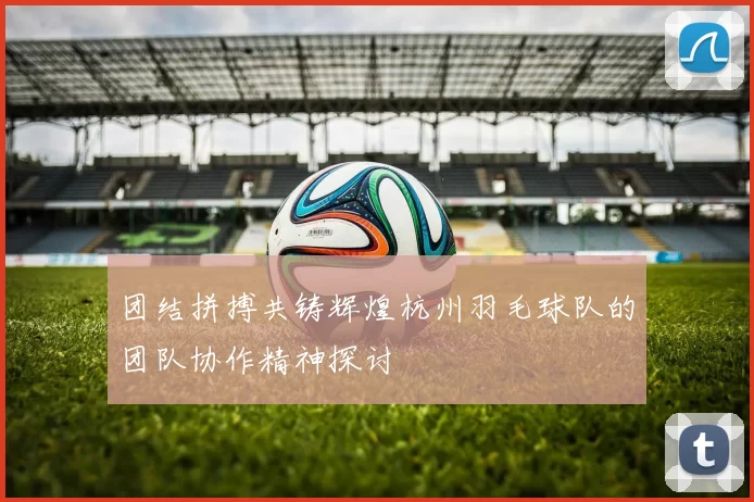 团结拼搏共铸辉煌杭州羽毛球队的团队协作精神探讨