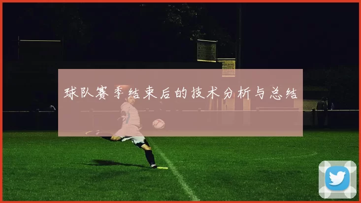 球队赛季结束后的技术分析与总结