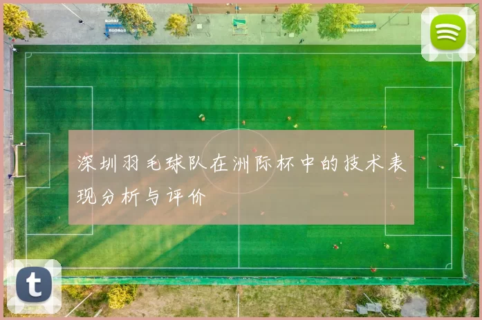 深圳羽毛球队在洲际杯中的技术表现分析与评价