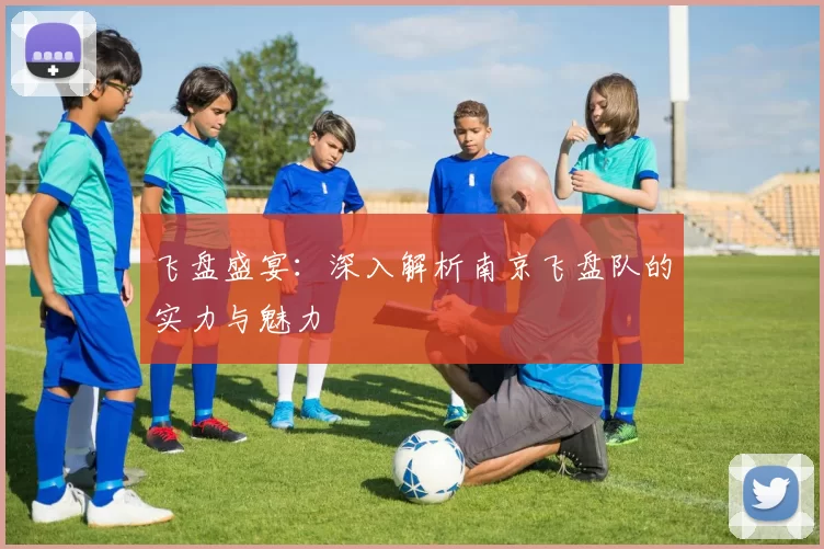飞盘盛宴：深入解析南京飞盘队的实力与魅力
