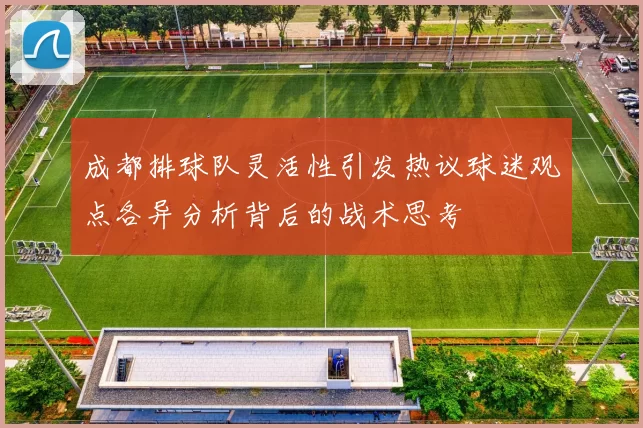 成都排球队灵活性引发热议球迷观点各异分析背后的战术思考