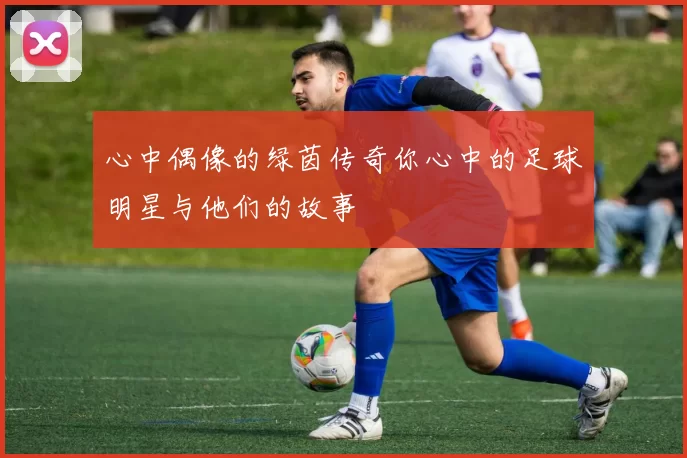 心中偶像的绿茵传奇你心中的足球明星与他们的故事