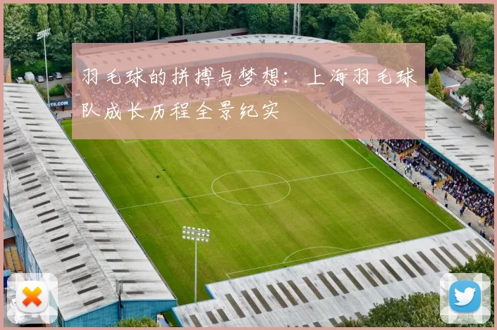 羽毛球的拼搏与梦想：上海羽毛球队成长历程全景纪实