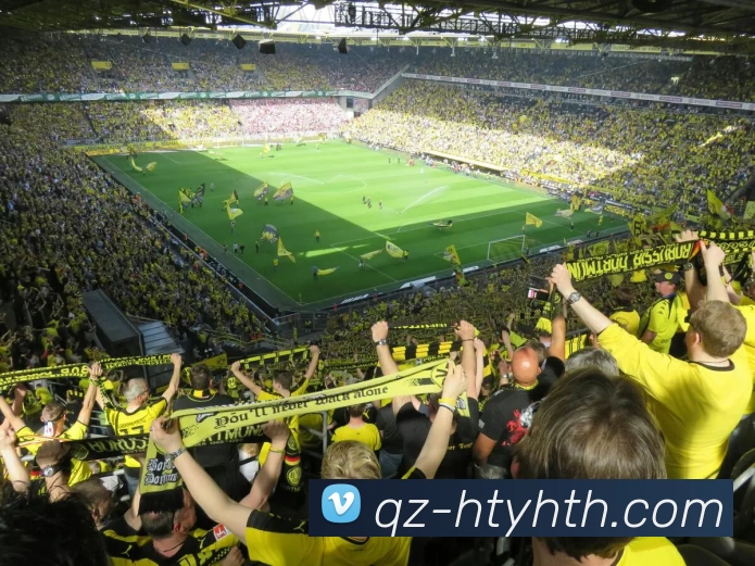 华体会发展历程